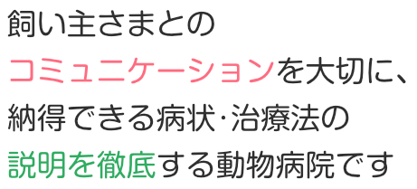 小郡市の動物病院なら藤野動物病院